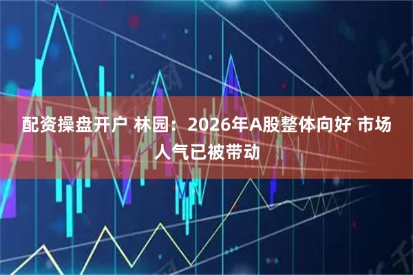 配资操盘开户 林园：2026年A股整体向好 市场人气已被带动